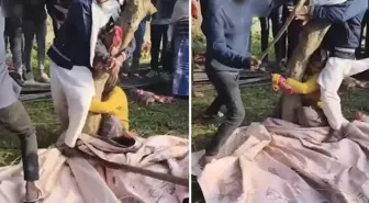 Uygunsuz halde yakaladıkları evli kadın ile din adamını sopayla dövüp kayda aldılar