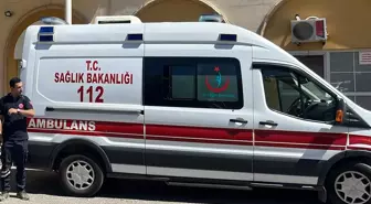 Otel muhasebecisi, otomobilde başından vurulmuş halde ölü bulundu