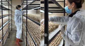 100 bin lira maaşlı işi bırakıp sektör değiştirdi! Kilosunu 700 bin liraya satıyor