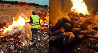 Çocukları zehirleyeceklerdi! 2 ton ürün imha edildi