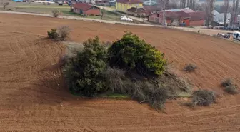 Dışardan bakınca basit bir çalılık içi ise adeta cennet! Asırlara meydan okuyor