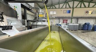 Muhtar fabrika kurup tüm mahalleyi işe aldı! Suudi Arabistan'a bile ihraç ediyor