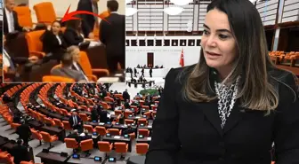 Türkeş'in kızının Öcalan için söyledikleri Meclis'i karıştırdı