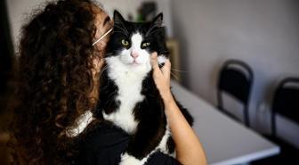 Bu tarihi kaçıran evcil hayvan sahipleri yandı! Katbekat fazlasını ödeyecekler