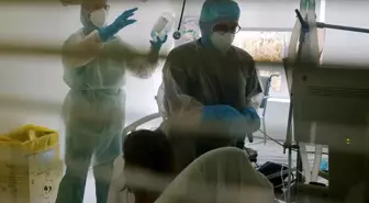 Avrupa'yı alarma geçiren virüs Türkiye'de! Sağlık Bakanlığı'ndan açıklama var