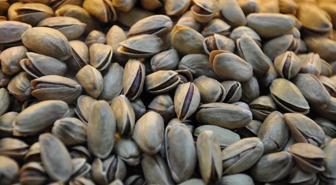 Resmi Gazete'de yayımlandı! Antep fıstığıyla ilgili önemli karar