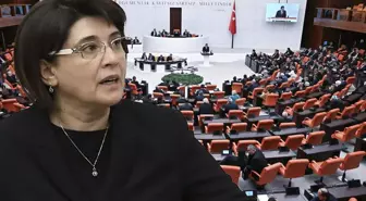 Leyla Zana polemiği Meclis'e taşındı
