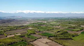 TOKİ, İstanbul dahil 37 ilde yüzlerce arsayı satışa çıkardı