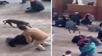 Cami cemaatine korku dolu anlar yaşatan olay için harekete geçildi