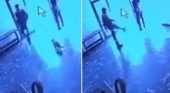 Kediye tekme attı, o anlar kameraya yansıdı