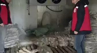 Manisa'da 4 milyon liralık bozuk kokoreç imha edildi