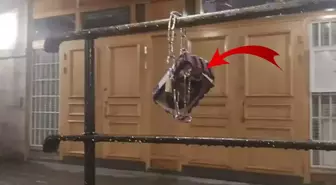 Camide alçak provokasyon! Korkuluklara Kur'an-ı Kerim zincirlediler