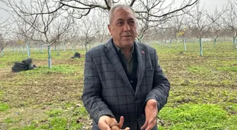 Bir köyü zengin eden ürün! Doktorlar, iş insanları buraya akın ediyor