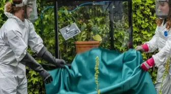 Özel güvenlik kafesinde tutuluyor, bir dokunanı intihara sürüklüyor