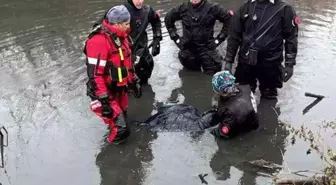 Günlerdir aranan kayıp öğretmenden acı haber
