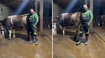 Hayvanıyla video çekip asgari ücretle ilgili yaptığı kıyasa tepki var