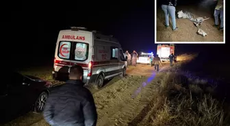 Esenboğa'dan kalkan özel jet düştü! Uçaktakiler hayatını kaybetti