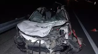 Malatya'da feci olay: Milyonluk taylar karayolunda telef oldu