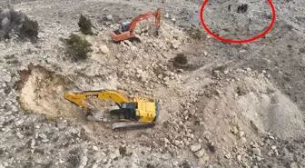 2 iş makinesiyle define arayanlara operasyon: 14 gözaltı