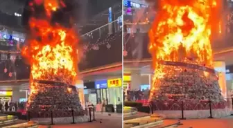 'Müslümanlar Noel ağacını ateşe verdi' dendi, gerçek çok başka çıktı