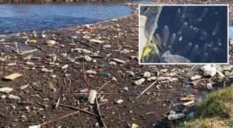 Büyük Menderes Nehri alarm veriyor, simsiyah oldu