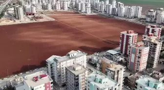 Herkes sattı, o direndi! Betonun ortasında bakın ne yapıyor