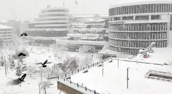 İstanbul'un yanı başında kar kalınlığı yarım metreye ulaştı