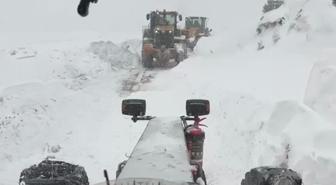 Artvin'de çığ düştü: 3 çoban çığ altında kaldı