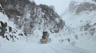 Artvin'de çığ meydana geldi: Çobanlar kar altında kalmış olabilir