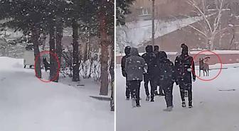 Okul bahçesine giren kurt köpeği öğrencilere saldırdı; 3 yaralı