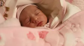 Poyraz, Alparslan, İpek... İşte 2026'nın ilk bebekleri