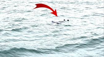 İstanbul Boğazı'nda kan donduran görüntü