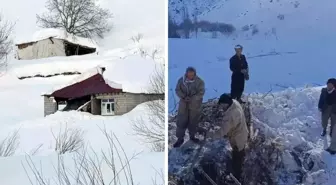 O kentimiz çığ altında kaldı! 8 ev zarar gördü