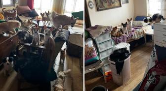 Kapı açılınca karşılaşılan manzara şoke etti