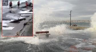 Megakentte lodosa rağmen denize girmenin bedeli ağır oldu