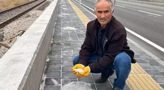 Yurt dışından gelen TIR'lardan dökülüyor, bahçesine ekip para kazanıyor