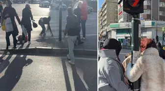 Bursa'da lodos zor anlar yaşattı, uçmak istemeyen trafik lambasına tutundu