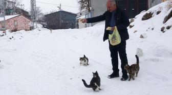 Bu köyde kışın sadece muhtar yaşıyor! Tek nedeni var