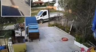 Yol kenarında yatan köpeği ezdi, arkasına bakmadan gitti