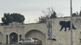 Bir devrin sonu! Darıca Hayvanat Bahçesi kapatıldı