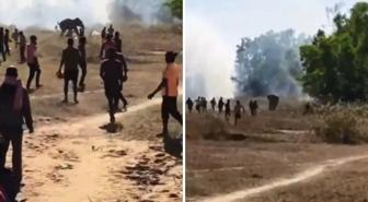 Kontrolden çıkan fil, 22 kişiyi öldürdü: Köylüler çatı ve ağaçlarda uyuyor