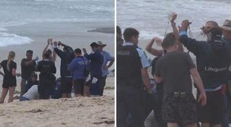 Köpekbalığı sörfçüyü ağır yaraladı! Deniz kırmızıya boyandı