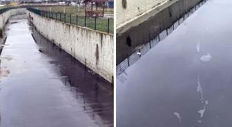 Görenler inanamadı! Dere siyah akmaya başladı