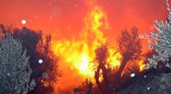 Antalya'da evleri tehdit eden orman yangını kontrol altına alındı