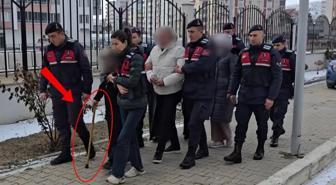 87 yaşındaki kadın devleti 15 milyon TL zarara uğrattı! Yaptığı şeytanın aklına gelmez