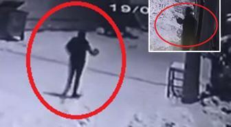 Mahalleye inen kurtları, elinde çaydanlıkla koşarak uzaklaştırdı