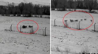 Görüntü Türkiye'den: Gündüz vakti baskın yaptılar, vatandaşlar korku içinde