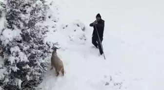 Ankaralı çoban, kendisine yaklaşan drona tüfek doğrulttu