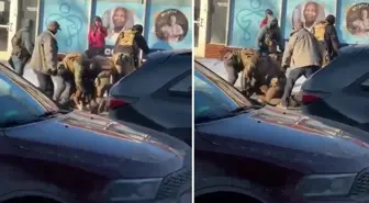 ABD'nin Minnesota eyaletinde ICE polisi bir kişiyi daha vurdu