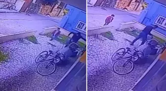 Çocukların gözü önünde köpeği katletti